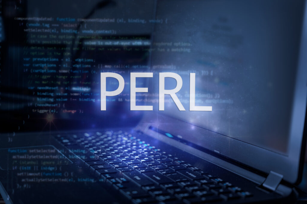 Perlとはどんな言語？